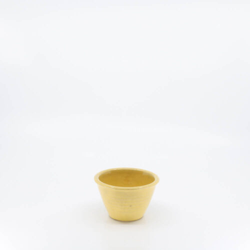 Pacific Pottery Hostessware UNK Custard Alt-Design Yellow