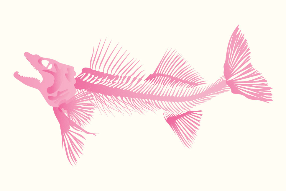 QwkDog Design Fish Skeleton
