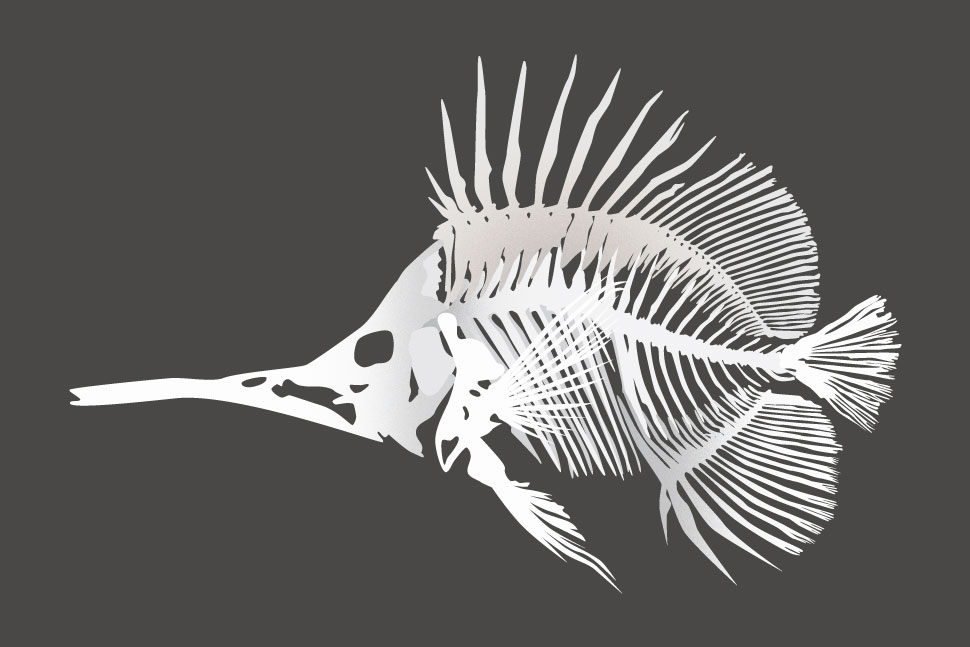 QwkDog Design Fish Skeleton