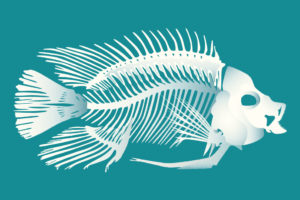 QwkDog Design Fish Skeleton
