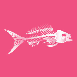 QwkDog Fish Skeleton - Pink Portfolio Image