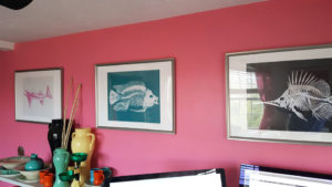 QwkDog Design Fish Skeleton Room 02