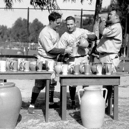 QwkDog Catalina Island Baseball